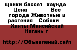 щенки бассет- хаунда › Цена ­ 20 000 - Все города Животные и растения » Собаки   . Ханты-Мансийский,Нягань г.